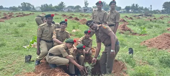 Tree Plantation Drive